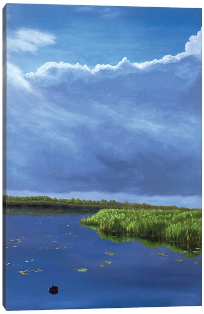 First Ray After Rain Canvas Art Print - Marsh & Swamp Art