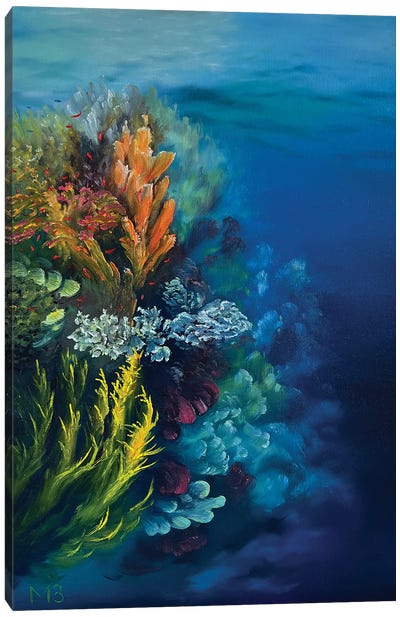 Another World Canvas Art Print - Coral Art