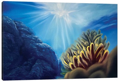 Under The Sea Canvas Art Print - Coral Art
