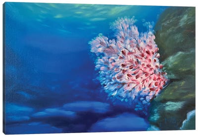 Underwater Sakura Canvas Art Print - Coral Art