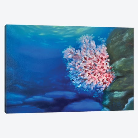 Underwater Sakura Canvas Print #MZT77} by Marina Zotova Canvas Art Print