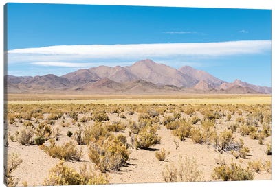 Landscape near the salt flats Salinas Grandes in the Altiplano, Argentina. Canvas Art Print - Martin Zwick