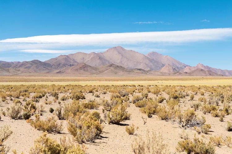 Landscape near the salt flats Salinas Grandes in the Altiplano, Argentina.