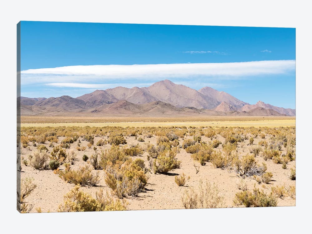 Landscape near the salt flats Salinas Grandes in the Altiplano, Argentina. by Martin Zwick 1-piece Canvas Wall Art
