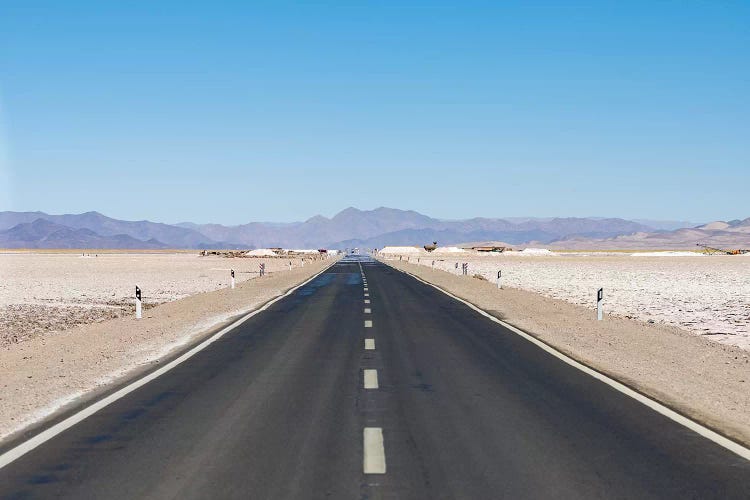 Routa 52 is crossing the Salar towards Chile. Landscape on the salt flats Salar Salinas Grandes by Martin Zwick wall art