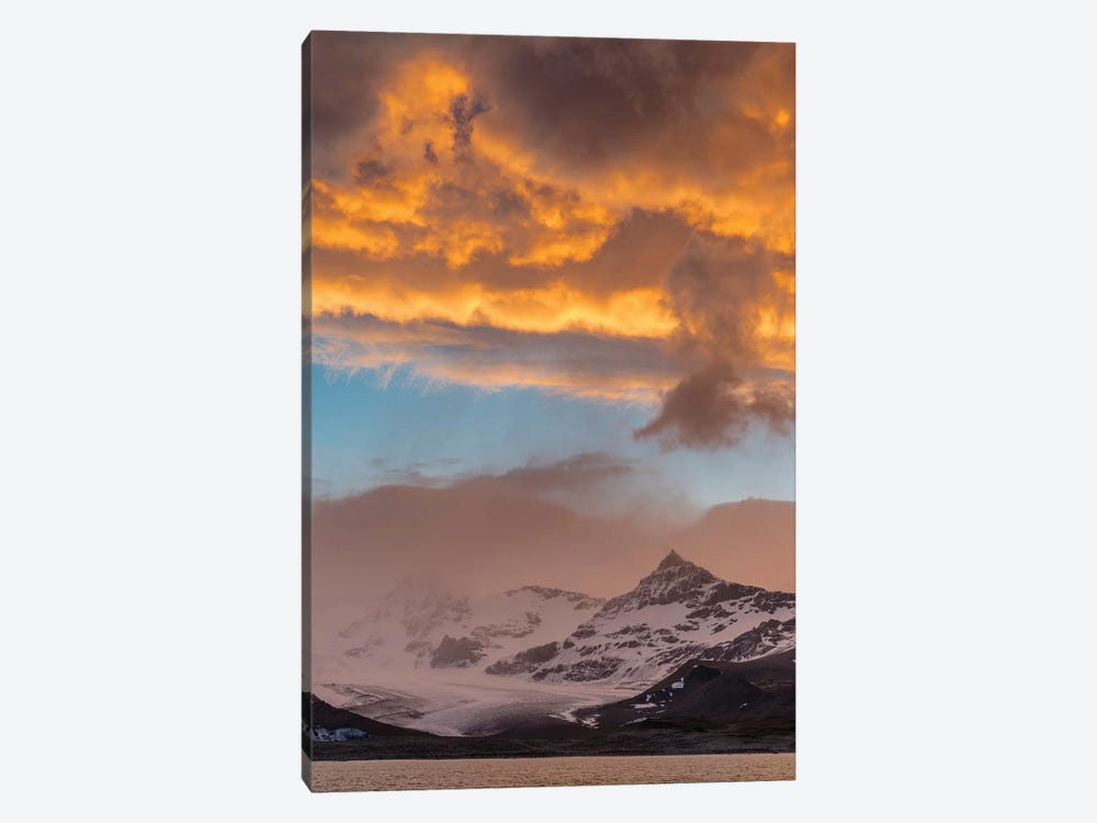 St. Andres Bay on South Georgia Island during sunset.  by Martin Zwick 1-piece Canvas Print