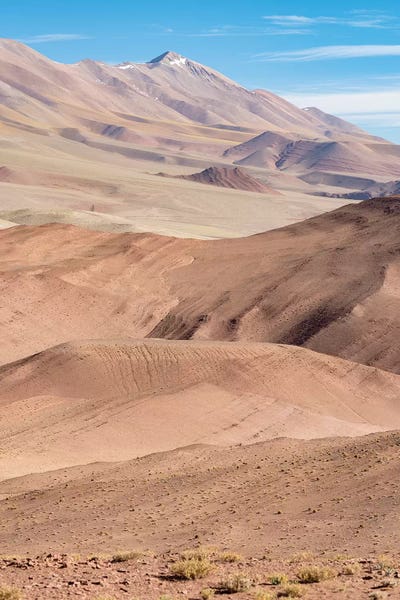 The Argentinian Altiplano along Routa 27 between Pocitos and Tolar Grande, Argentina by Martin Zwick canvas print