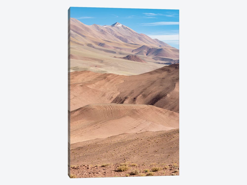 The Argentinian Altiplano along Routa 27 between Pocitos and Tolar Grande, Argentina by Martin Zwick 1-piece Canvas Wall Art