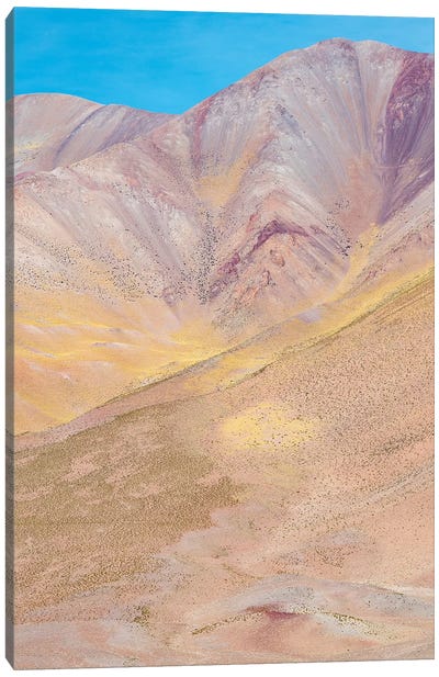 The mountains of the Altiplano, near the village of Tolar Grande, close to the border of Chile. Canvas Art Print - Chile Art