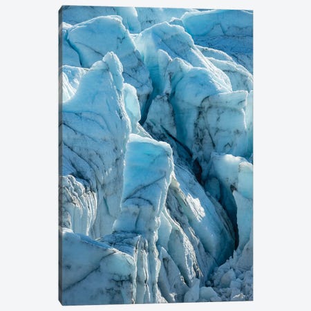 The Russell Glacier. Landscape close to the Greenland Ice Sheet near Kangerlussuaq, Greenland Canvas Print #MZW127} by Martin Zwick Canvas Artwork