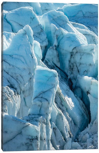 The Russell Glacier. Landscape close to the Greenland Ice Sheet near Kangerlussuaq, Greenland Canvas Art Print - Martin Zwick