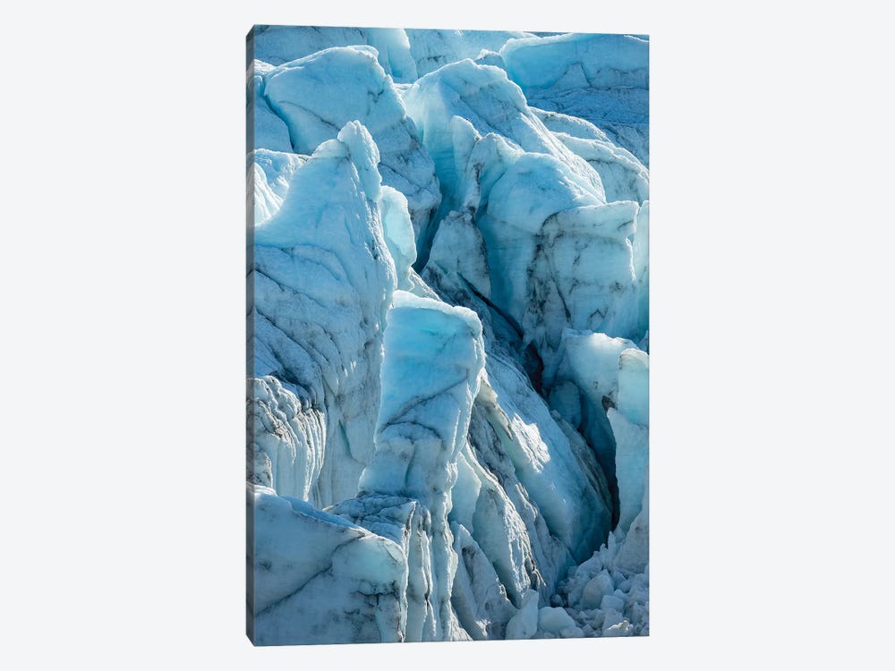 The Russell Glacier. Landscape close to the Greenland Ice Sheet near Kangerlussuaq, Greenland by Martin Zwick 1-piece Canvas Art