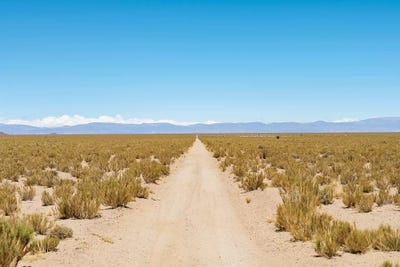The track RN 38. Landscape near the salt flats Salar Salinas Grandes in the Altiplano, Argentina. by Martin Zwick framed canvas print