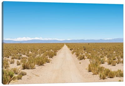 The track RN 38. Landscape near the salt flats Salar Salinas Grandes in the Altiplano, Argentina. Canvas Art Print - Martin Zwick
