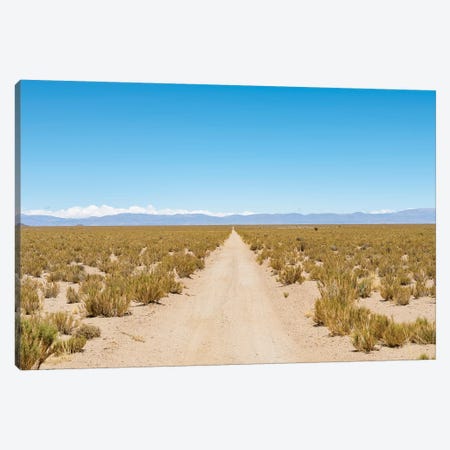 The track RN 38. Landscape near the salt flats Salar Salinas Grandes in the Altiplano, Argentina. Canvas Print #MZW128} by Martin Zwick Art Print