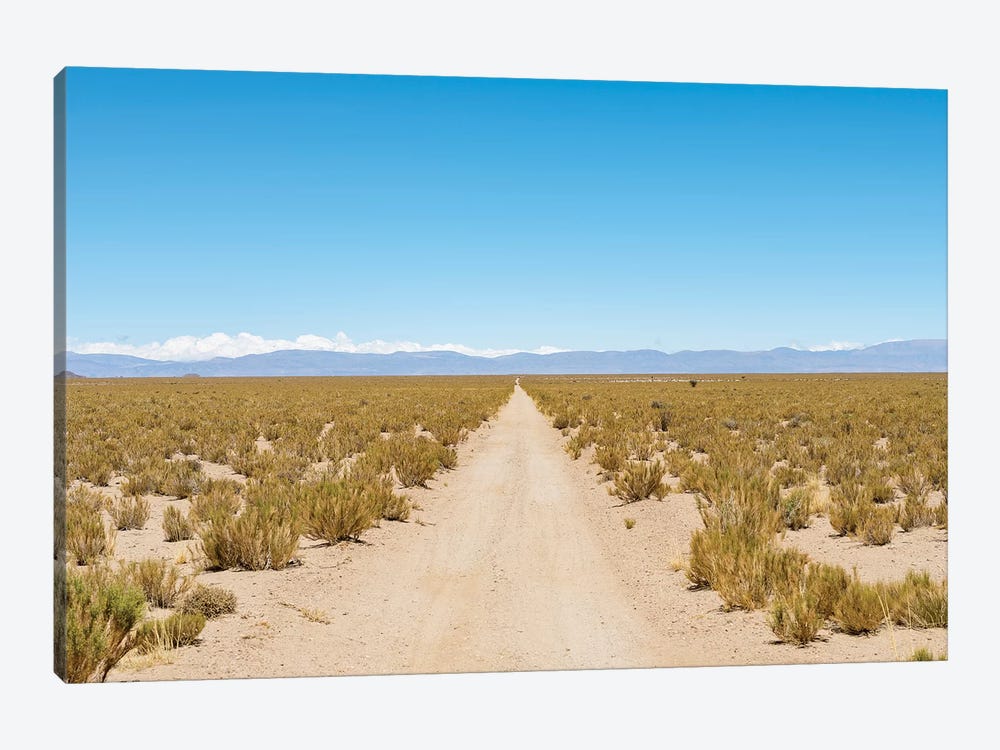 The track RN 38. Landscape near the salt flats Salar Salinas Grandes in the Altiplano, Argentina. by Martin Zwick 1-piece Art Print
