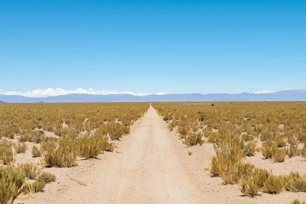 Argentina: The track RN 38. Landscape near the salt flats Salar Salinas Grandes in the Altiplano, Argentina. by Martin Zwick