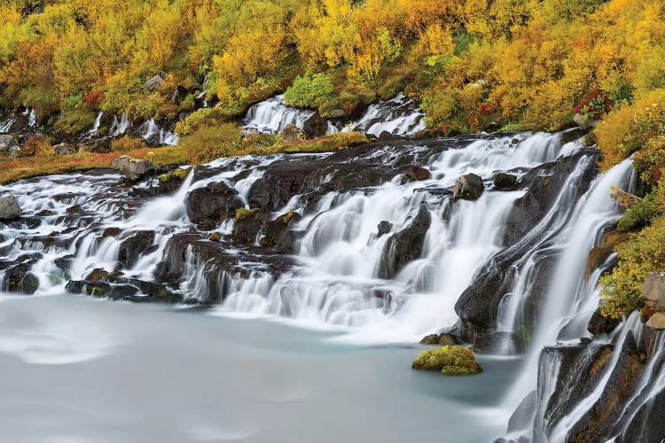 Waterfall Hraunfossar with colorful foliage during fall. Northern Iceland