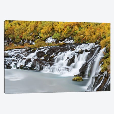 Waterfall Hraunfossar with colorful foliage during fall. Northern Iceland Canvas Print #MZW131} by Martin Zwick Canvas Artwork