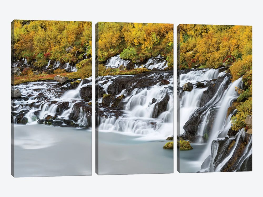 Waterfall Hraunfossar with colorful foliage during fall. Northern Iceland by Martin Zwick 3-piece Canvas Print