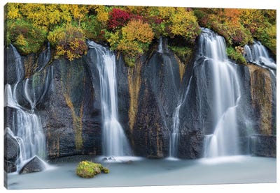 Waterfall Hraunfossar with colorful foliage during fall. Northern Iceland Canvas Art Print - Iceland Art