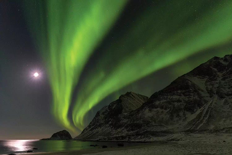 Northern Lights over Haukland Beach, island Vestvagoy. Lofoten Islands. Norway I