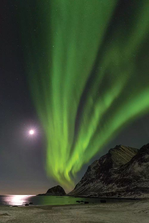Northern Lights over Haukland Beach, island Vestvagoy. Lofoten Islands. Norway II