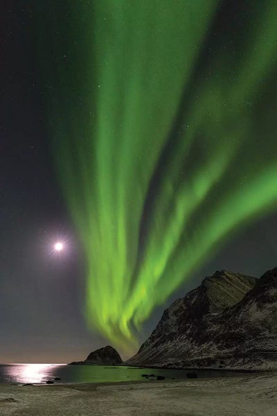 Northern Lights over Haukland Beach, island Vestvagoy. Lofoten Islands. Norway II