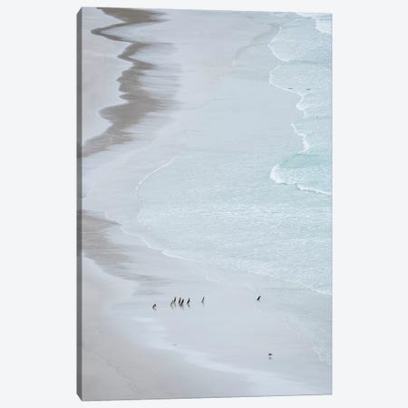 Group On Empty Beach. Magellanic Penguin, Falkland Islands. Canvas Print #MZW189} by Martin Zwick Canvas Print