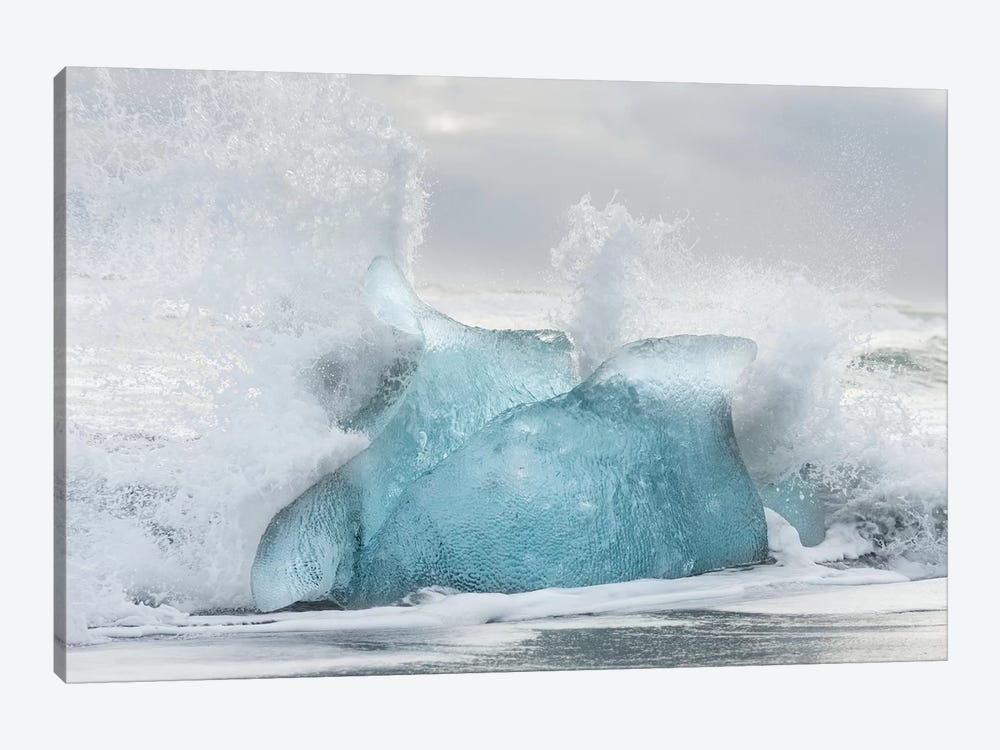 Icebergs On Black Volcanic Beach, Iceland. by Martin Zwick 1-piece Canvas Art Print