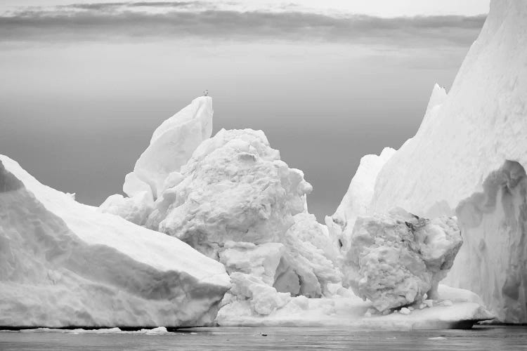 Ilulissat Icefjord At Disko Bay. The Icefjord Is Listed As Unesco World Heritage Site, Greenland.