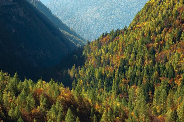 Italy, Valle Corpassa in Civetta, Moiazza mountain range in the dolomites of the Veneto