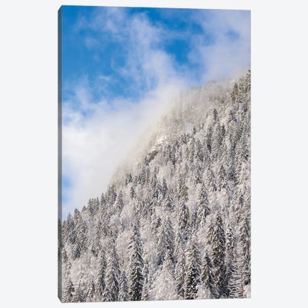 Mountain Forest At Frozen Sylvenstein Reservoir In The Isar Valley Of Karwendel Mountain Range During Winter. Germany, Bavaria. Canvas Print #MZW313} by Martin Zwick Canvas Wall Art