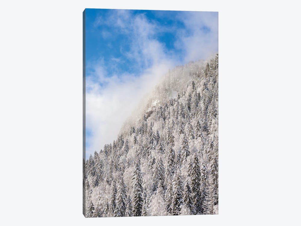 Mountain Forest At Frozen Sylvenstein Reservoir In The Isar Valley Of Karwendel Mountain Range During Winter. Germany, Bavaria. by Martin Zwick 1-piece Canvas Wall Art