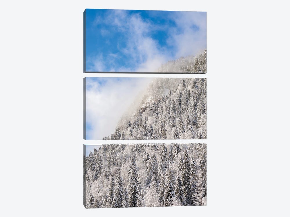Mountain Forest At Frozen Sylvenstein Reservoir In The Isar Valley Of Karwendel Mountain Range During Winter. Germany, Bavaria. by Martin Zwick 3-piece Canvas Wall Art