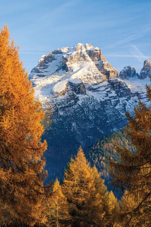 Cima Brenta. View Of The Dolomiti Di Brenta From Val Rendena, In The Province Of Trentino In Italy. by Martin Zwick wall art