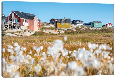Inuit village Oqaatsut (once called Rodebay) located in Disko Bay. Greenland Canvas Art Print - Martin Zwick