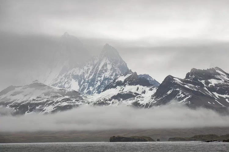 Bay of Isles with Salisbury Plain on South Georgia. by Martin Zwick wall art