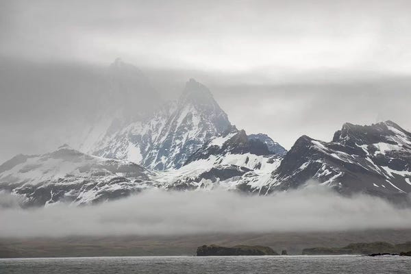 Ancient Wonders: Bay of Isles with Salisbury Plain on South Georgia. by Martin Zwick
