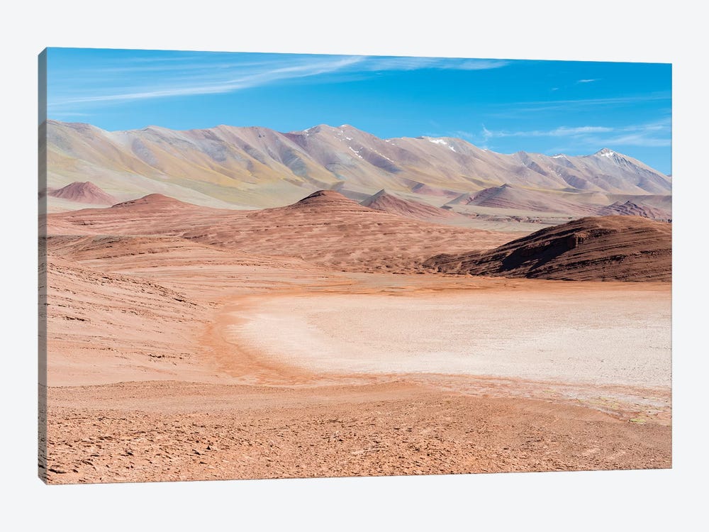 Desierto del Diablo. The Argentinian Altiplano along Routa 27 between Pocitos and Tolar Grande by Martin Zwick 1-piece Art Print