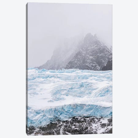 Glaciers of Drygalski Fjord at the southern end of South Georgia. Canvas Print #MZW75} by Martin Zwick Canvas Artwork
