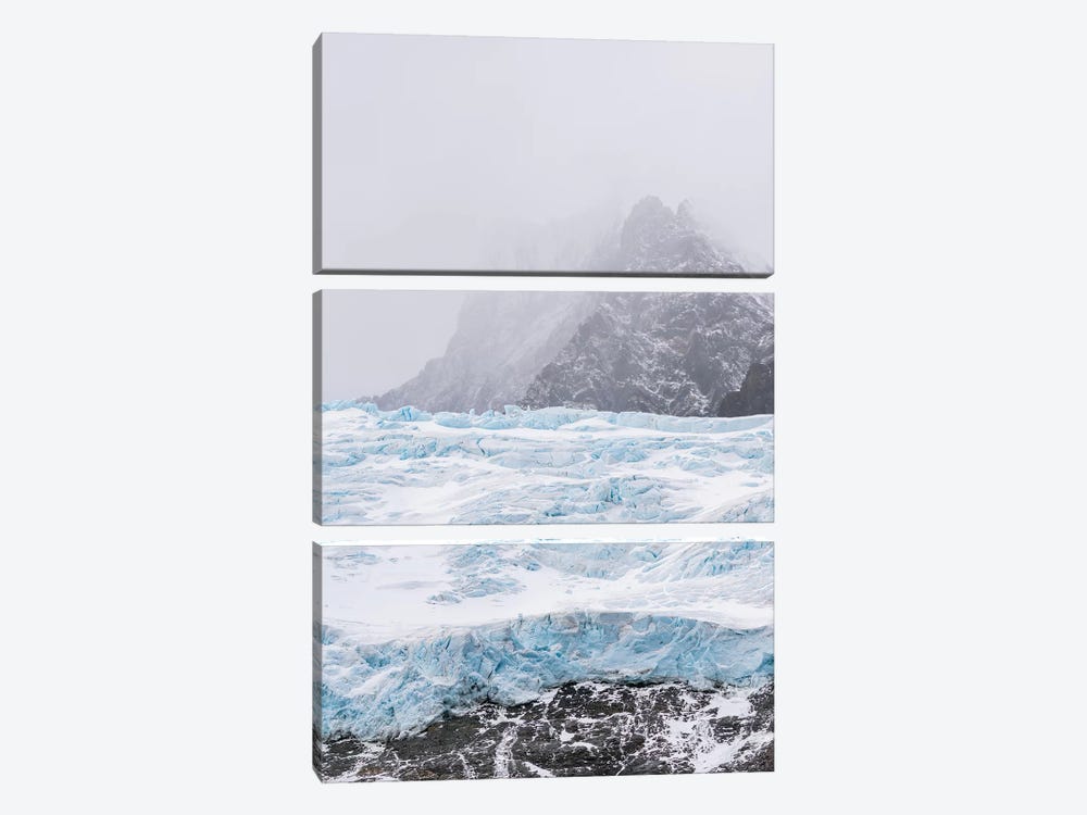 Glaciers of Drygalski Fjord at the southern end of South Georgia. by Martin Zwick 3-piece Canvas Art