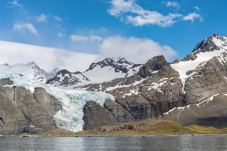 Gold Harbour with mighty Bertrab Glacier on South Georgia Island