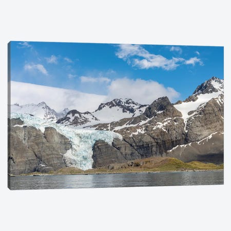 Gold Harbour with mighty Bertrab Glacier on South Georgia Island Canvas Print #MZW76} by Martin Zwick Canvas Wall Art