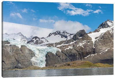 Gold Harbour with mighty Bertrab Glacier on South Georgia Island Canvas Art Print - Martin Zwick