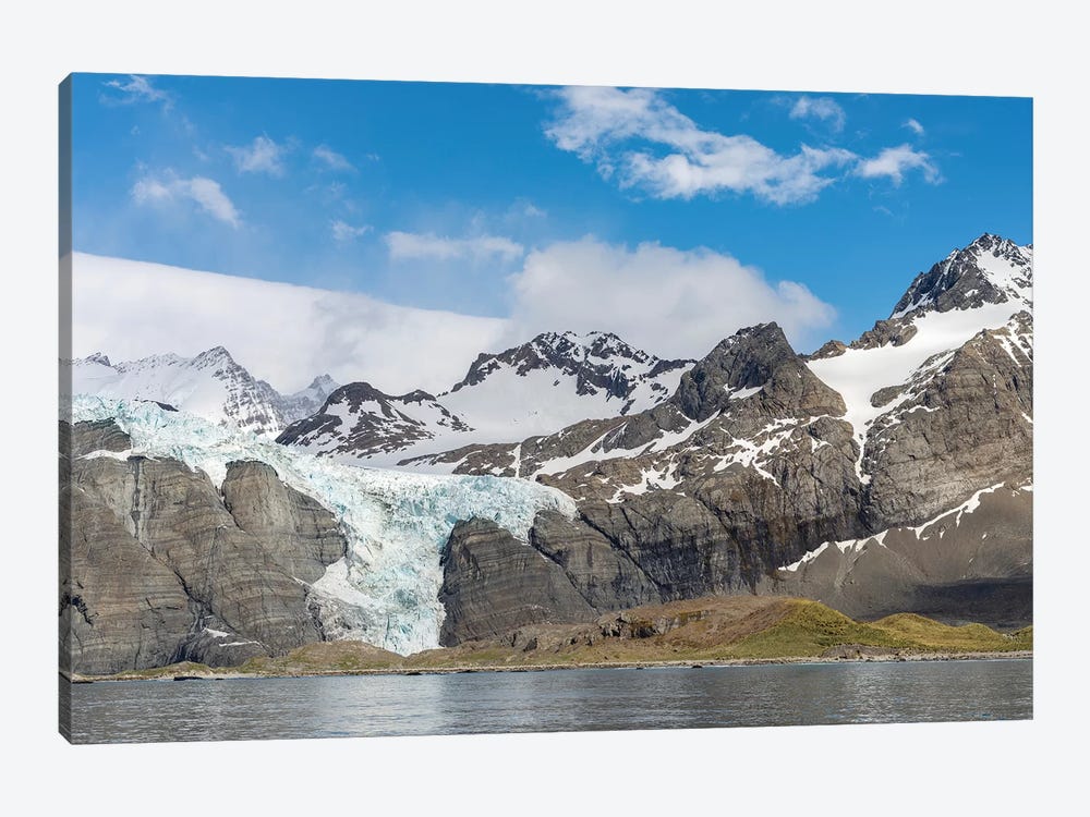 Gold Harbour with mighty Bertrab Glacier on South Georgia Island by Martin Zwick 1-piece Canvas Art Print