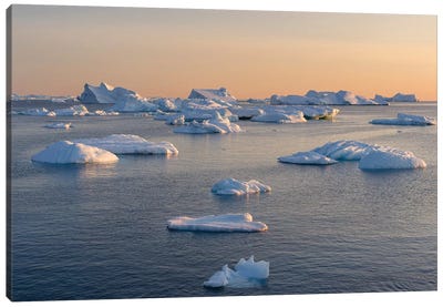 Icebergs in the Disko Bay. Inuit village Oqaatsut located in Greenland Canvas Art Print - Greenland