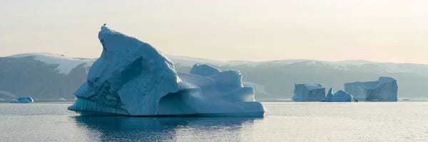 Icebergs in the Uummannaq fjord system, northwest Greenland