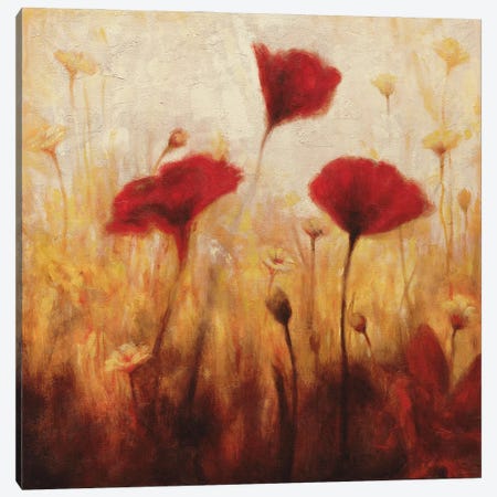 Poppies And Daisies I Canvas Print #NAC3} by Natalie Carter Canvas Wall Art