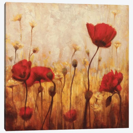 Poppies And Daisies II Canvas Print #NAC4} by Natalie Carter Canvas Print